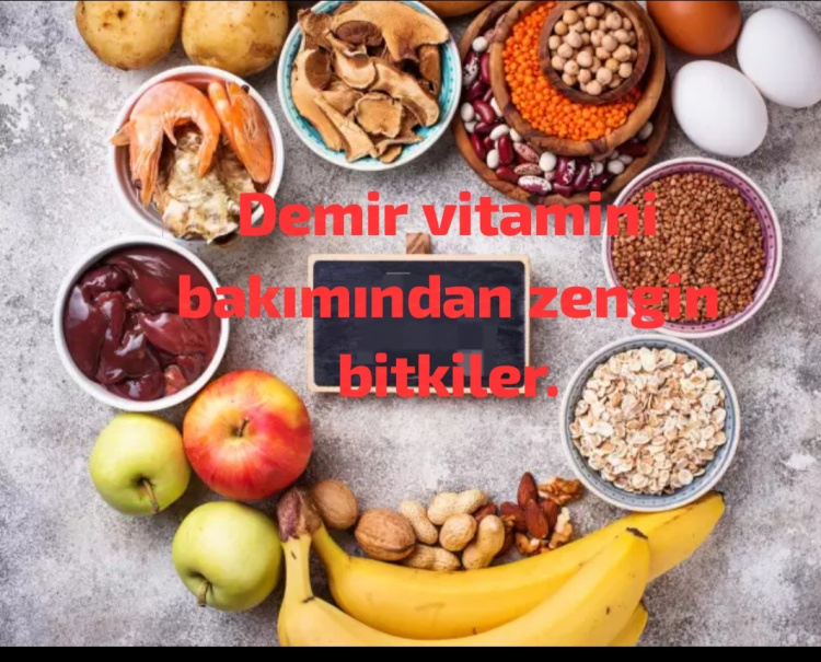 Demir Vitamini Bakımından Zengin Bitkiler