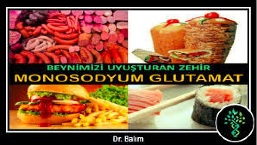 Monosodyum Glutamat : Çin Tuzu tehlikesi