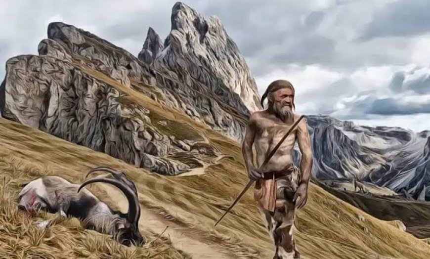Ötzi : Buz Adam Ötztal Alpler'in Gizemi