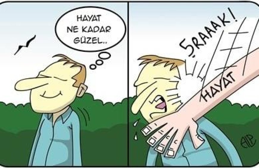 6 Kural ve Kolay Bir Hayat!